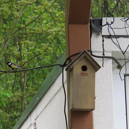 Apartament Haus Waldzauber Neuhäusel Zewnętrze zdjęcie